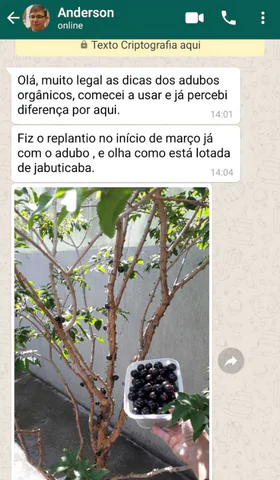 dep3
